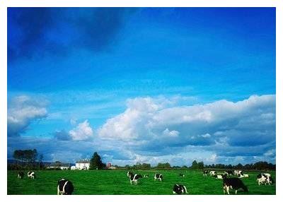 “很难征服”的3大星座女,思想独立有主见,一旦爱上余生都是你休闲区蓝鸢梦想 - Www.slyday.coM “很难征服”的3大星座女,思想独立有主见,一旦爱上余生都是你休闲区蓝鸢梦想 - Www.slyday.coM