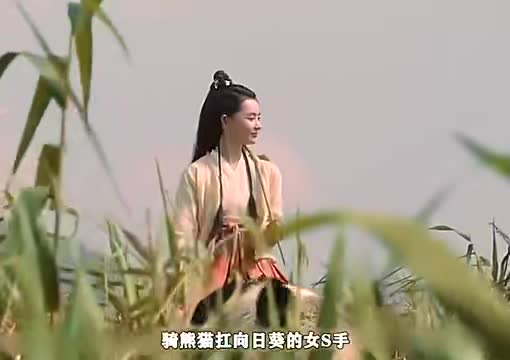 雪中悍刀行呵呵姑娘