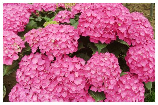 今后3个月,财运横行,事业收获较多,这4大生肖腰缠不清休闲区蓝鸢梦想 - Www.slyday.coM 今后3个月,财运横行,事业收获较多,这4大生肖腰缠不清休闲区蓝鸢梦想 - Www.slyday.coM