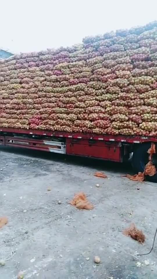 苹果十块一麻袋满满一车