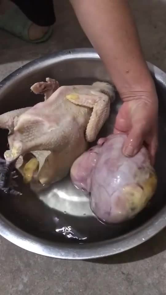 母鸡肚子长瘤图片图片