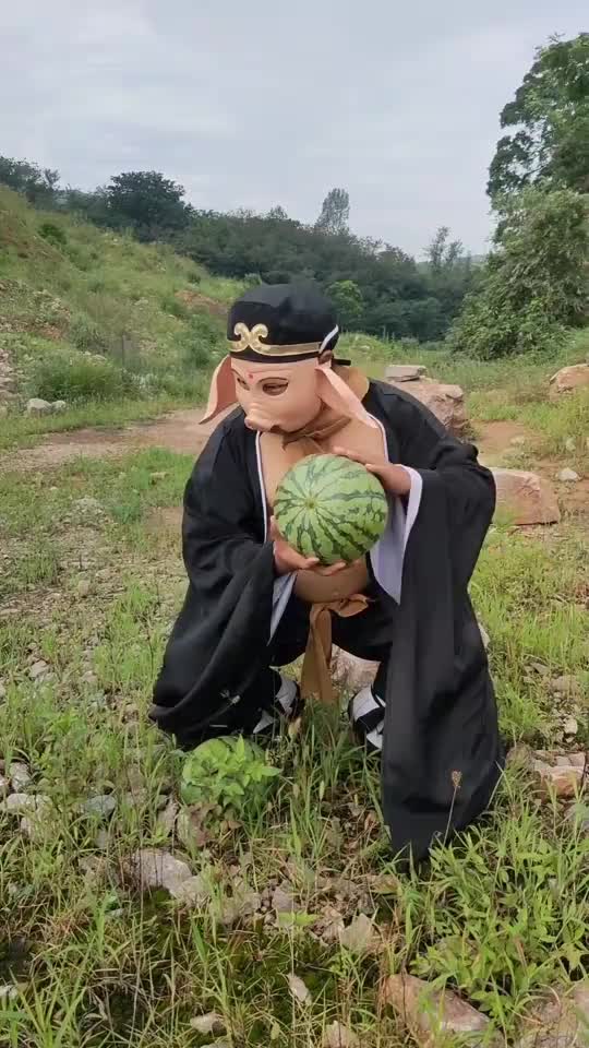 猪八戒吃西瓜