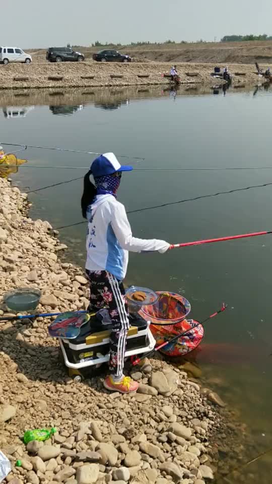 黑坑唯一女钓手不但长得漂亮而且技术好谁还有心思钓鱼