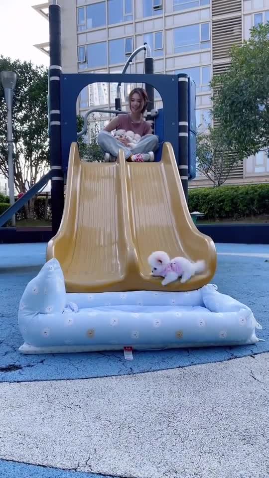 来带小狗狗门玩滑滑梯了