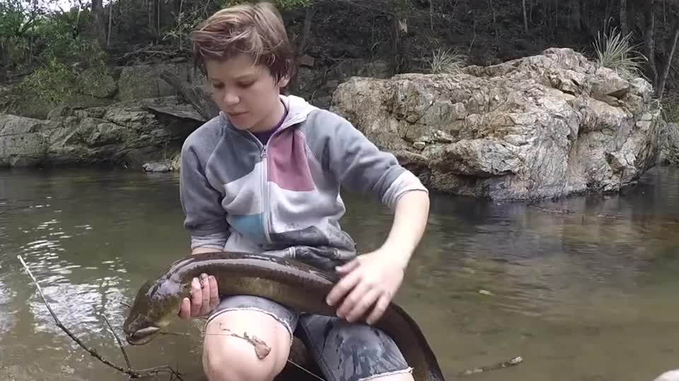 作死男孩徒手抓电鳗,结果下一秒电鳗开始放电,镜头记录全程