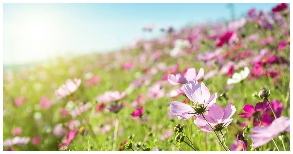 分手后依然恋恋不舍、难以释怀的两大星座很让人心疼休闲区蓝鸢梦想 - Www.slyday.coM 分手后依然恋恋不舍、难以释怀的两大星座很让人心疼休闲区蓝鸢梦想 - Www.slyday.coM