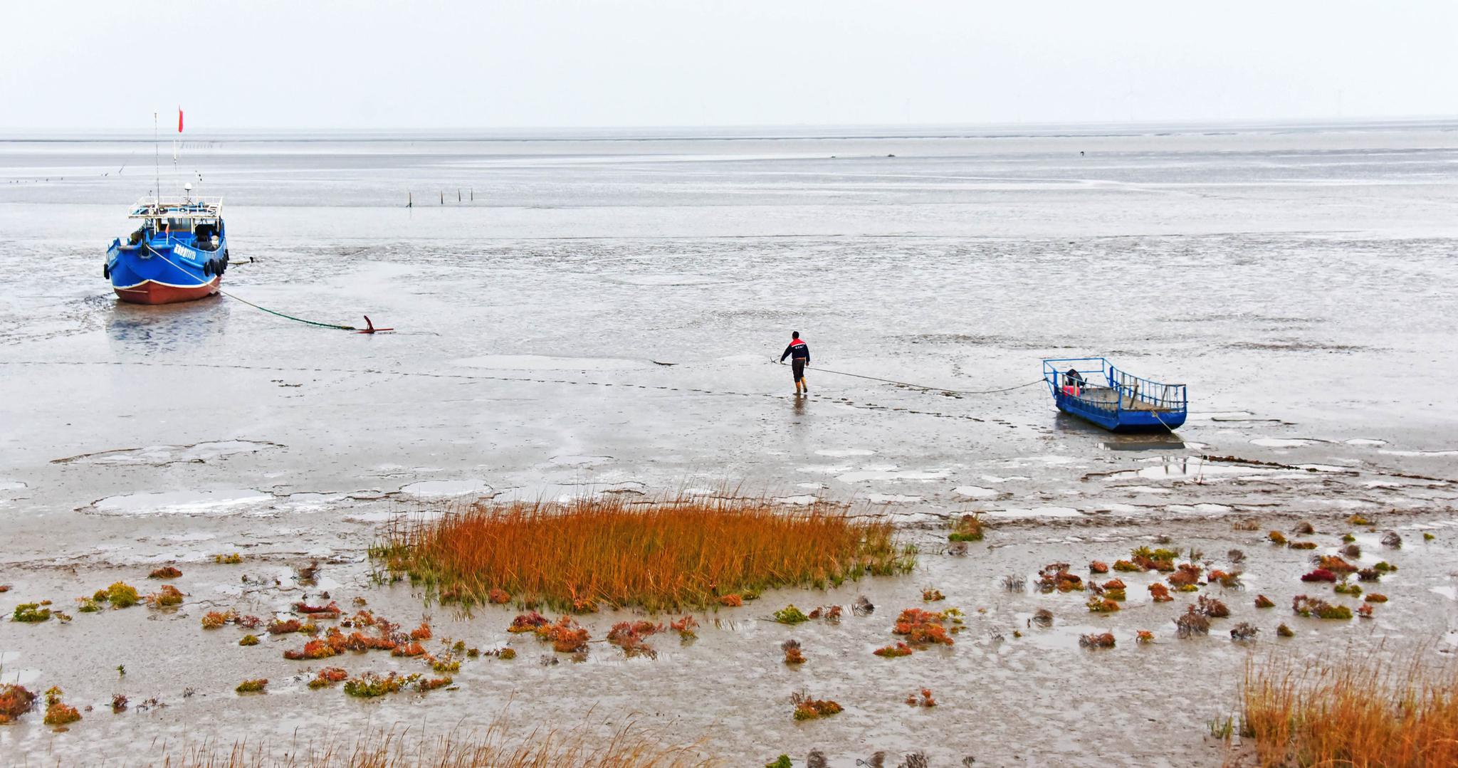 秋行条子泥,江苏盐城东台弶港条子泥景区.