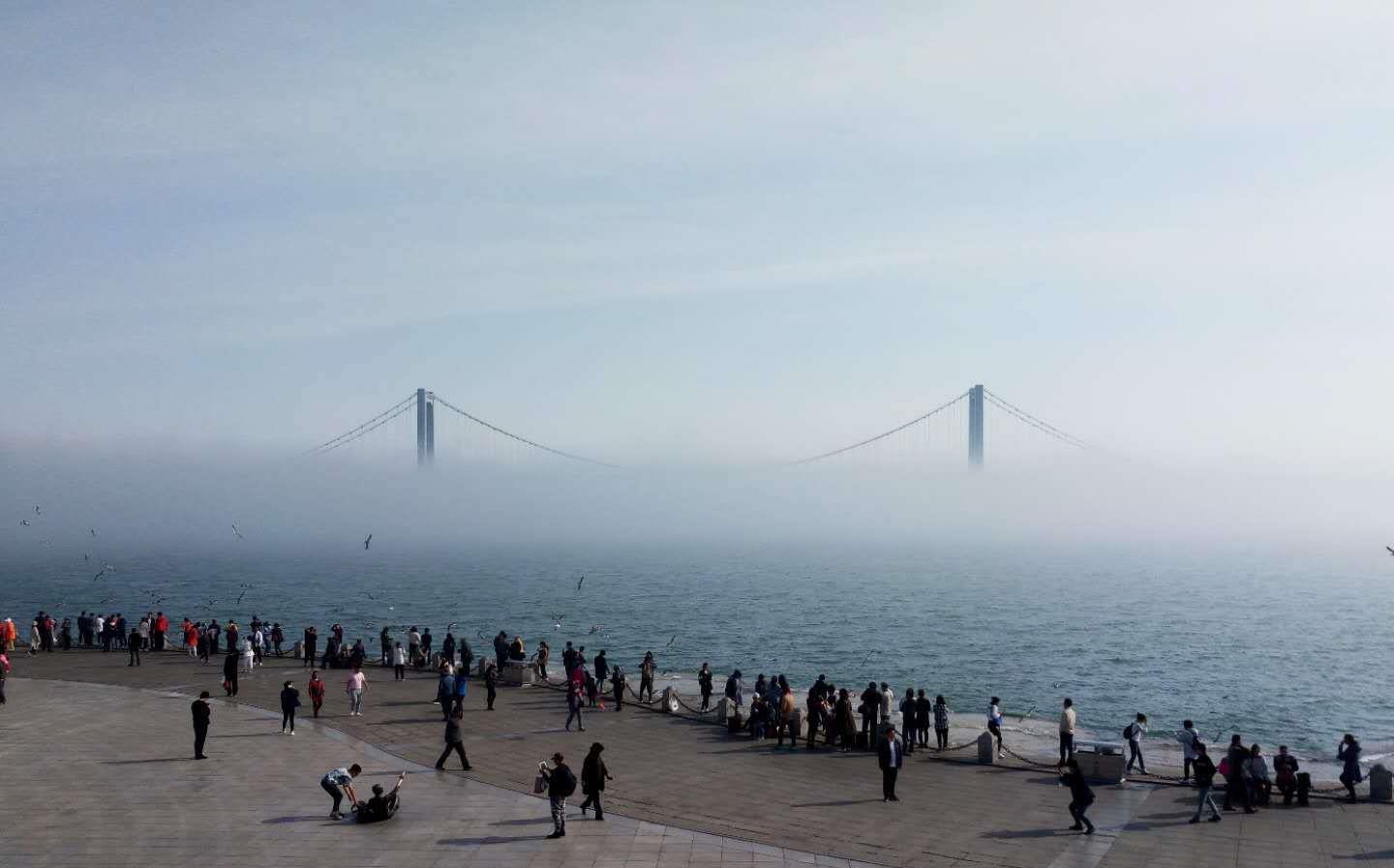 大连好玩的地方排行榜_大连好玩的地方大连景点