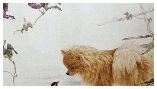 生肖狗：出生在这一年，命最好，不是富翁就是大官，一生富得流油休闲区蓝鸢梦想 - Www.slyday.coM