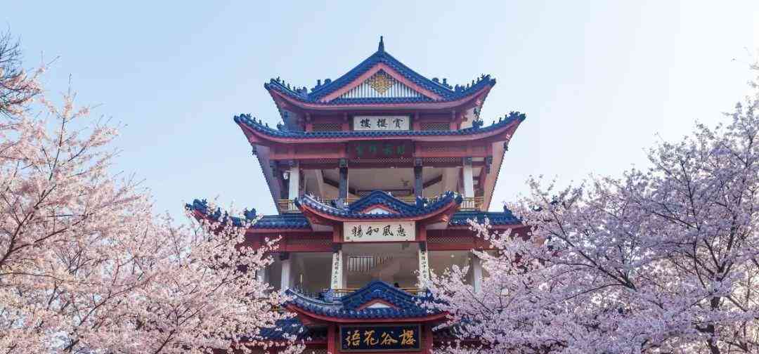 江苏无锡著名的景点鼋头渚可以现场买票吗游玩路线有哪些
