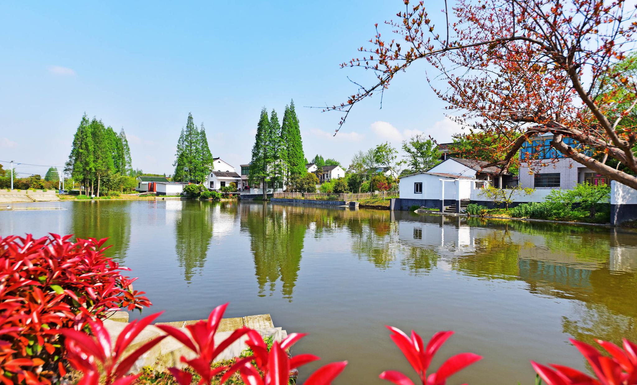 羊尖小镇美丽乡村丽安春色江苏省无锡市锡山区