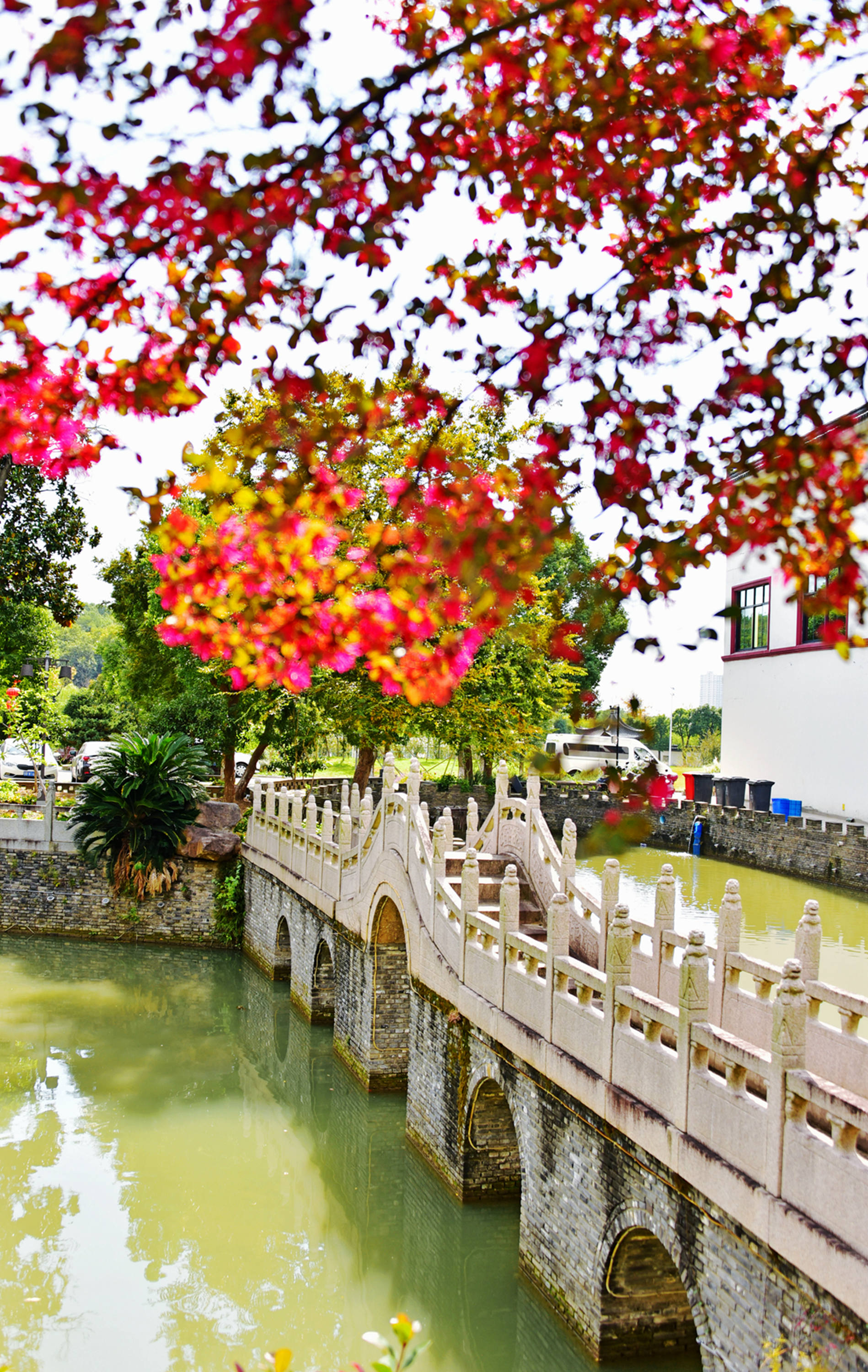 开云体育- 开云体育官方网站- 开云体育APP 最新2025来东平寻找心中的“诗和远方”