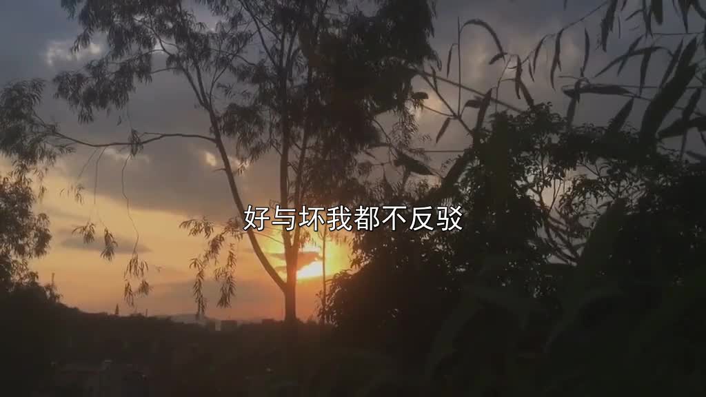 你所见即是我好与坏我都不反驳