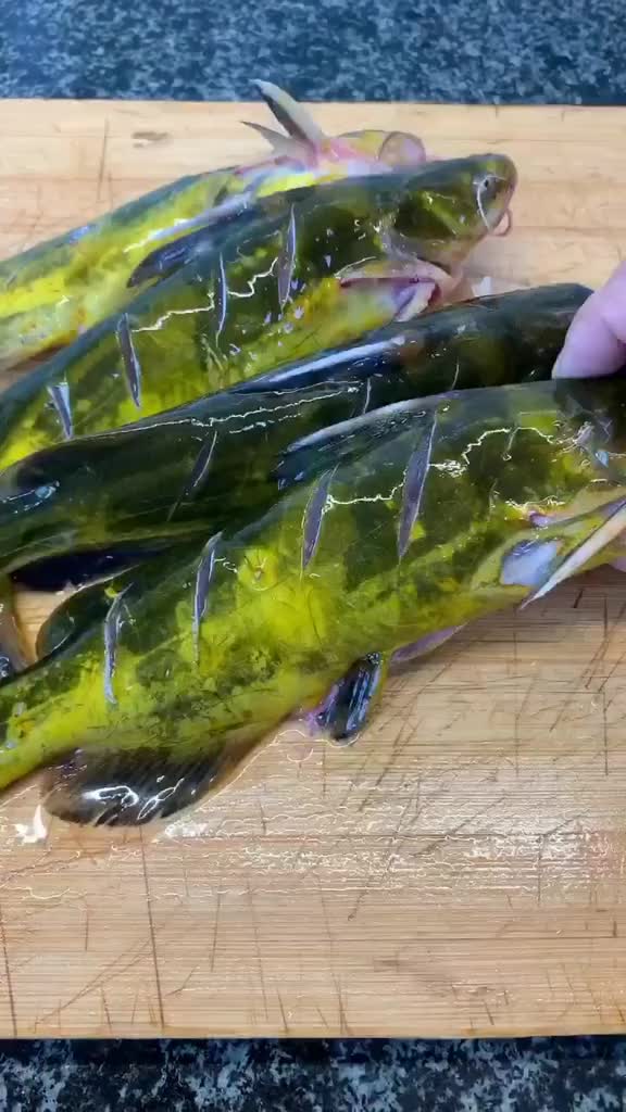 外观不好但非常好吃的酱焖嘎牙鱼