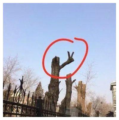 我问爸爸照片中站在他旁边的那位年轻叔叔是谁？他说那是你妈！休闲区蓝鸢梦想 - Www.slyday.coM