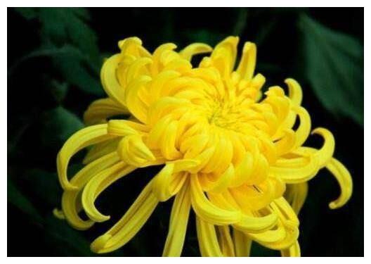 射手座逃不出这3种人的追求，一见钟情，爱到心底里也不为过休闲区蓝鸢梦想 - Www.slyday.coM