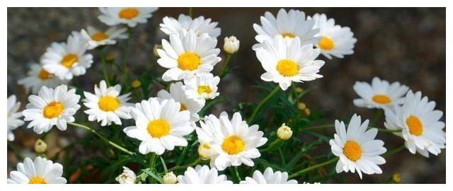 近期内,3星座熬过低谷期,好运不断,喜事连连,财源广发大财休闲区蓝鸢梦想 - Www.slyday.coM 近期内,3星座熬过低谷期,好运不断,喜事连连,财源广发大财休闲区蓝鸢梦想 - Www.slyday.coM