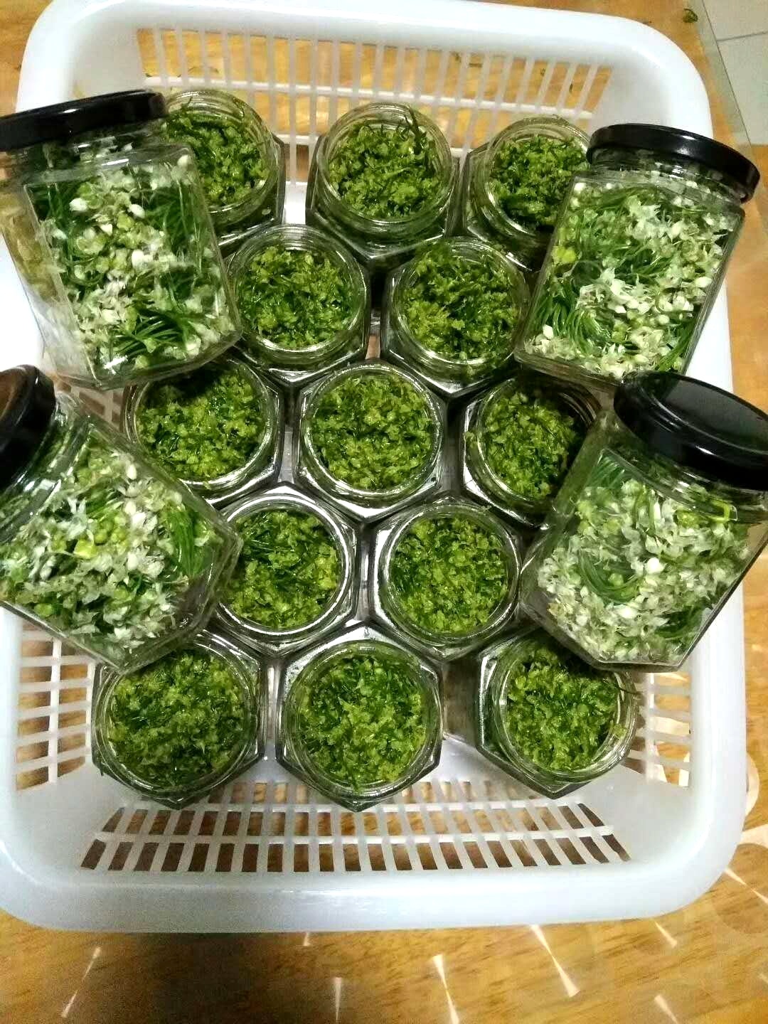 初秋时节 韭花飘香|化龙镇|寿光市|韭菜花_新浪新闻