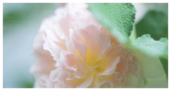 从8月19日开始 幸运降临 贵人承蒙关照 钱包膨胀的3属相