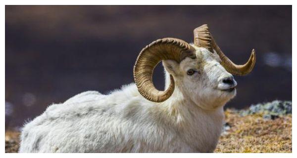 北方秋收在几月 河南秋收什么时间