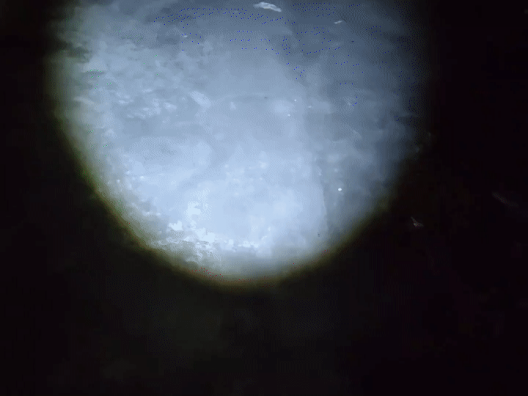 606d-2c0dbff6b4178df822e2f7ecb6000e8c.png