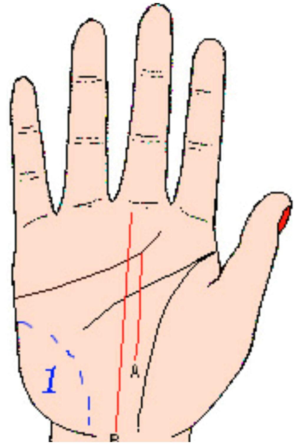图解学习手相第三课|生命线|手相|记号_新浪新闻