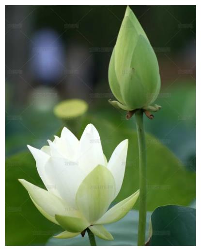 到了4月底鸿运当头4属相事业进步升职加薪生活蒸蒸日上