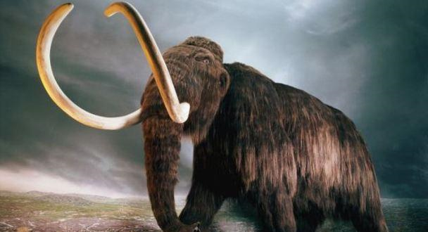 巴西发现一条13000年前的地道,长达600米,专家:这不是人建造的休闲区蓝鸢梦想 - Www.slyday.coM 巴西发现一条13000年前的地道,长达600米,专家:这不是人建造的休闲区蓝鸢梦想 - Www.slyday.coM