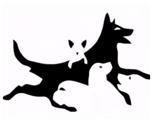 心理测试眼力挑战这张图中你能找到几只狗