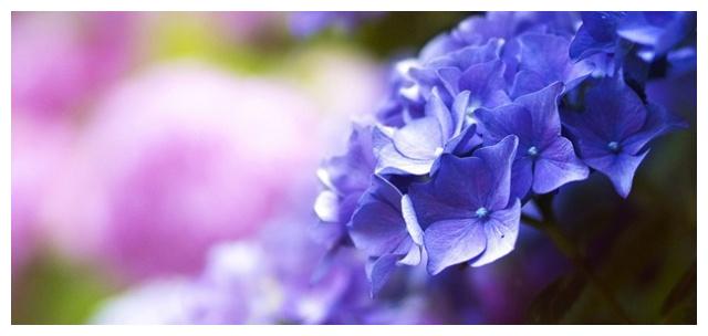 实力强却会冒进的三大星座,容易遇到想不到的困难休闲区蓝鸢梦想 - Www.slyday.coM 实力强却会冒进的三大星座,容易遇到想不到的困难休闲区蓝鸢梦想 - Www.slyday.coM