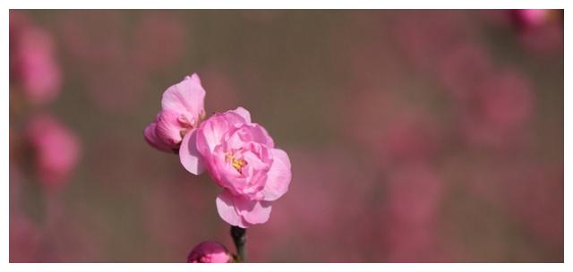 实力强却会冒进的三大星座,容易遇到想不到的困难休闲区蓝鸢梦想 - Www.slyday.coM 实力强却会冒进的三大星座,容易遇到想不到的困难休闲区蓝鸢梦想 - Www.slyday.coM