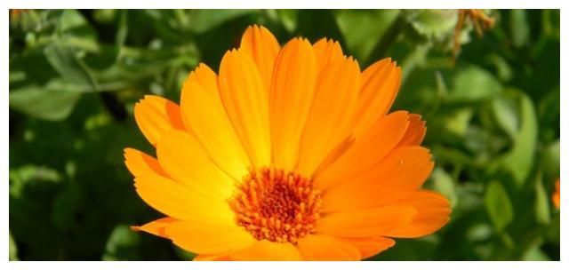 实力强却会冒进的三大星座,容易遇到想不到的困难休闲区蓝鸢梦想 - Www.slyday.coM 实力强却会冒进的三大星座,容易遇到想不到的困难休闲区蓝鸢梦想 - Www.slyday.coM