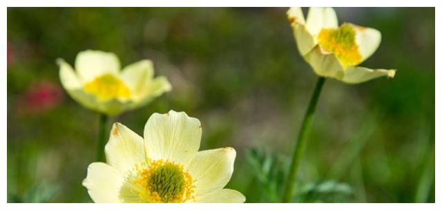 实力强却会冒进的三大星座,容易遇到想不到的困难休闲区蓝鸢梦想 - Www.slyday.coM 实力强却会冒进的三大星座,容易遇到想不到的困难休闲区蓝鸢梦想 - Www.slyday.coM