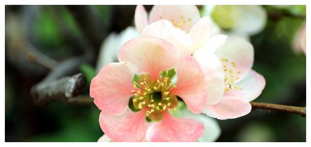 实力强却会冒进的三大星座,容易遇到想不到的困难休闲区蓝鸢梦想 - Www.slyday.coM 实力强却会冒进的三大星座,容易遇到想不到的困难休闲区蓝鸢梦想 - Www.slyday.coM