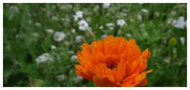 实力强却会冒进的三大星座,容易遇到想不到的困难休闲区蓝鸢梦想 - Www.slyday.coM 实力强却会冒进的三大星座,容易遇到想不到的困难休闲区蓝鸢梦想 - Www.slyday.coM