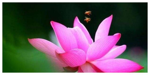 7月7.8号，事业不断晋升，运势蒸蒸日上，天天笑嘻嘻的属相休闲区蓝鸢梦想 - Www.slyday.coM