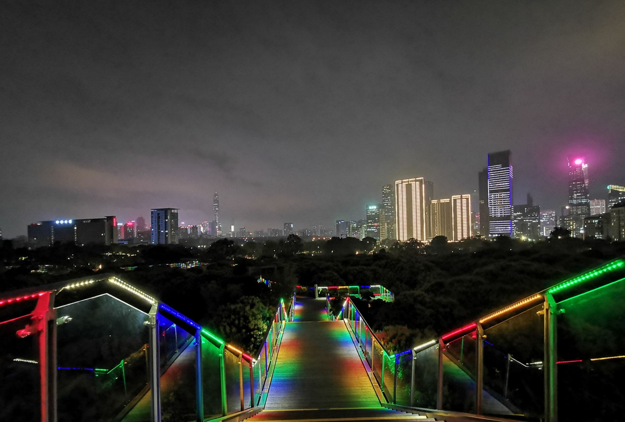 实拍深圳中心区夜景最美的公园,炫彩的树顶观光栈道美翻了!