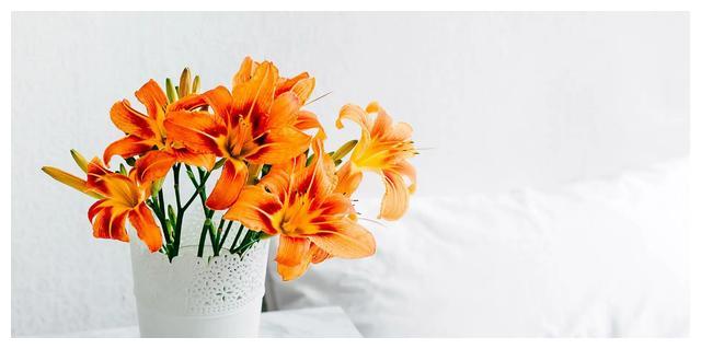 白羊座未来30天的发展,一些事情已经到了谷底,开始要回转了休闲区蓝鸢梦想 - Www.slyday.coM 白羊座未来30天的发展,一些事情已经到了谷底,开始要回转了休闲区蓝鸢梦想 - Www.slyday.coM