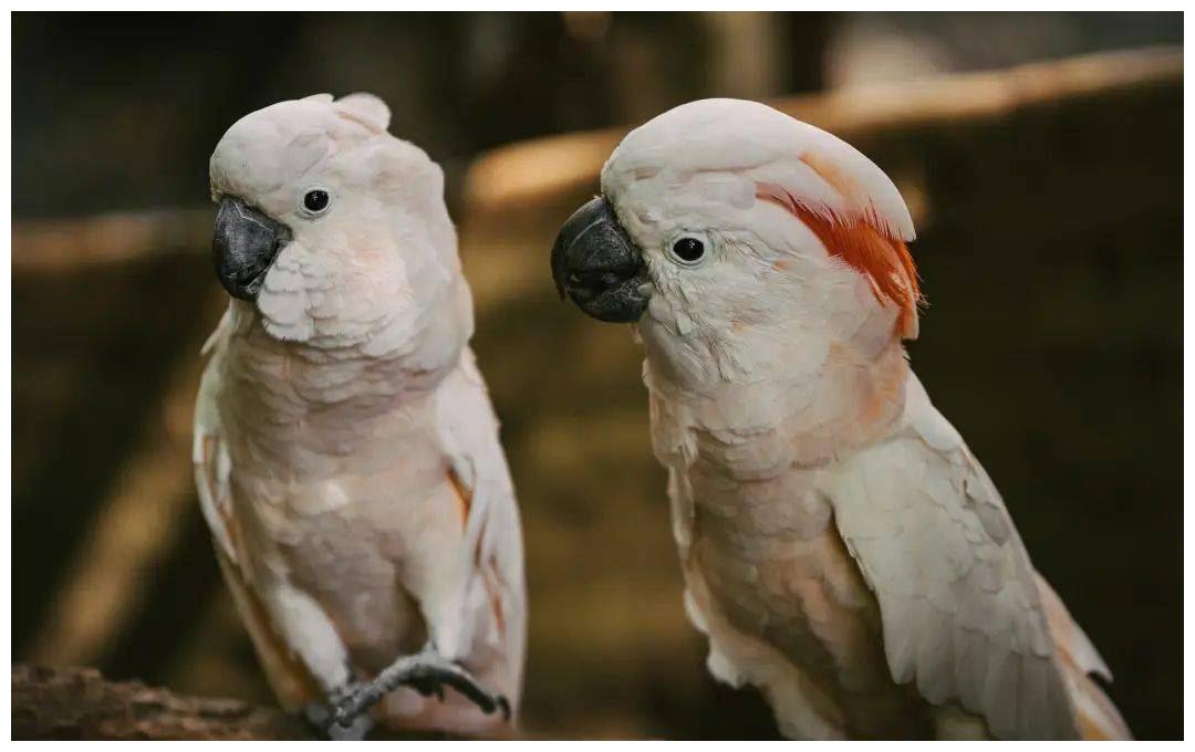 从你的出生日期 看你是什么性格 出生 性格 伴侣 新浪新闻