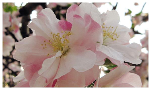 今年将不再苦命的4个生肖,皇天不负有心人,马上大发横财休闲区蓝鸢梦想 - Www.slyday.coM 今年将不再苦命的4个生肖,皇天不负有心人,马上大发横财休闲区蓝鸢梦想 - Www.slyday.coM