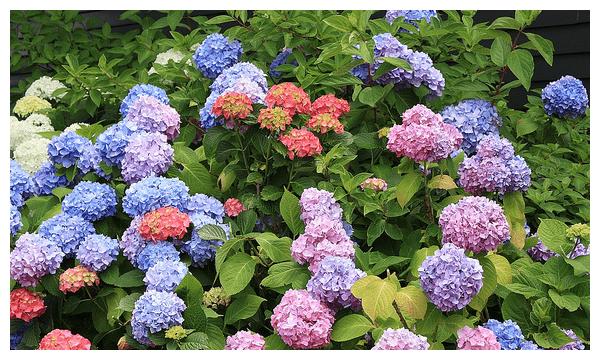 4月24日 5月9日 吉日好运来 八方鸿运财 钱程似锦宅的3生肖 钱程 好运来 鸿运 新浪新闻 4月24日 5月9日 吉日好运来 八方鸿运财 钱程似锦宅的3生肖 钱程 好运来 鸿运 新浪新闻