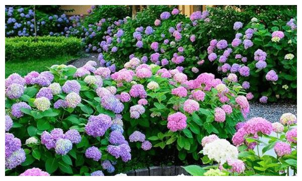 4月12日开始 好运多多 喜讯频发 吉人自有天相的三大星座 喜讯 星座 好运 新浪新闻