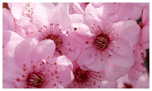 8月底好日子来了，如意发财，物质不用担心 仓库正在扩大的3生肖休闲区蓝鸢梦想 - Www.slyday.coM