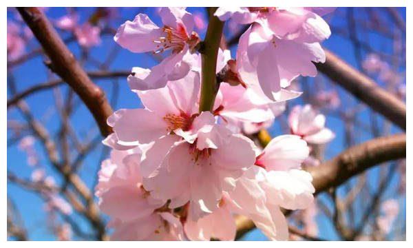 6月2.3日，喜事浮出水面，财运如虹，贫困生活成了终结的3生肖休闲区蓝鸢梦想 - Www.slyday.coM