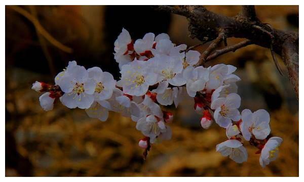 这几个人生肖,今后3个月,收入多,财神受惠休闲区蓝鸢梦想 - Www.slyday.coM 这几个人生肖,今后3个月,收入多,财神受惠休闲区蓝鸢梦想 - Www.slyday.coM