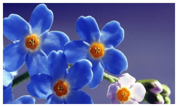 9月运气上升,财神进屋,喜气洋洋的三个生肖休闲区蓝鸢梦想 - Www.slyday.coM 9月运气上升,财神进屋,喜气洋洋的三个生肖休闲区蓝鸢梦想 - Www.slyday.coM