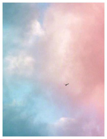 心理测试:选择最吸引你的一张图片,测测你的气质是什么样的人!休闲区蓝鸢梦想 - Www.slyday.coM 心理测试:选择最吸引你的一张图片,测测你的气质是什么样的人!休闲区蓝鸢梦想 - Www.slyday.coM