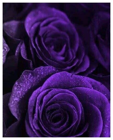 近期的爱情：越是爱你，就越是喜欢找茬的四大星座休闲区蓝鸢梦想 - Www.slyday.coM