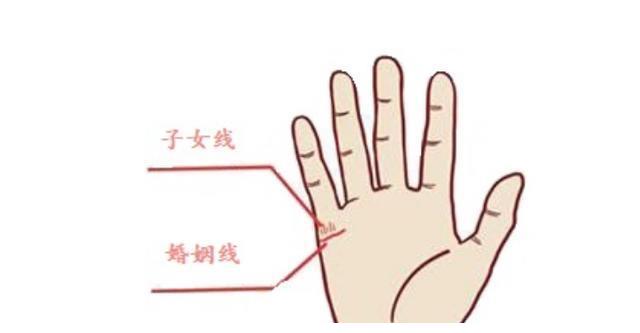 从手相看你的子女运配图