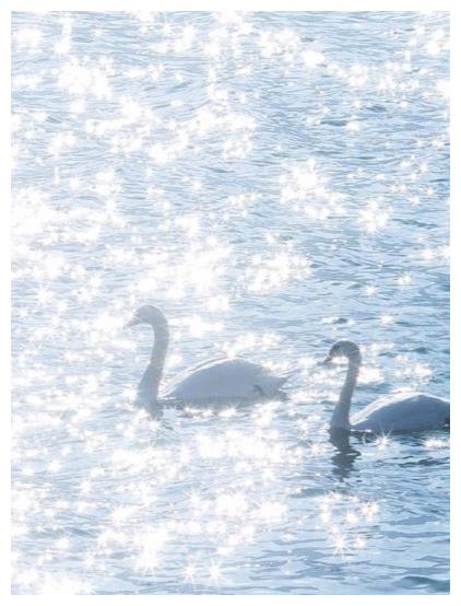 心理测试:选择最吸引你的一张图片,测测你的气质是什么样的人!休闲区蓝鸢梦想 - Www.slyday.coM 心理测试:选择最吸引你的一张图片,测测你的气质是什么样的人!休闲区蓝鸢梦想 - Www.slyday.coM